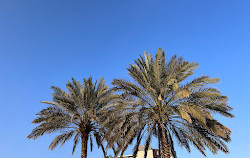 Al Nahda Park Sharjah