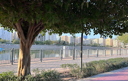 Al Nahda Park Sharjah