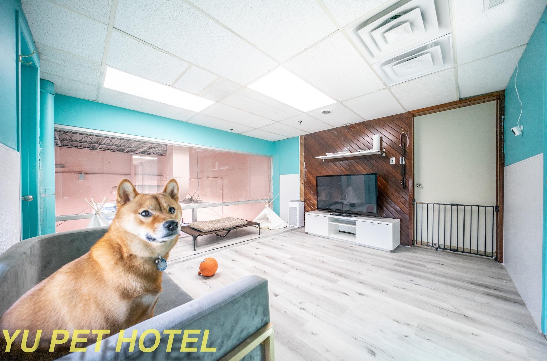 Tu hotel para mascotas