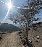 Al Rabi Hiking Trail