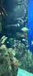 Fakieh Aquarium