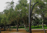 King Fahd Park