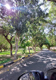 King Fahd Park