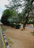 King Fahd Park