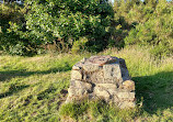 Kincorth Hill Local Nature Reserve