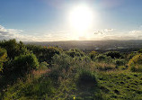 Kincorth Hill Local Nature Reserve