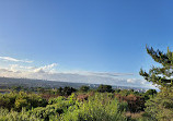 Kincorth Hill Local Nature Reserve