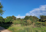 Kincorth Hill Local Nature Reserve