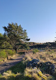 Kincorth Hill Local Nature Reserve