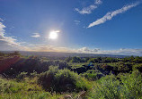 Kincorth Hill Local Nature Reserve