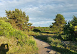 Kincorth Hill Local Nature Reserve