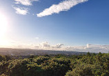 Kincorth Hill Local Nature Reserve