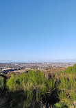 Kincorth Hill Local Nature Reserve