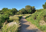 Kincorth Hill Local Nature Reserve