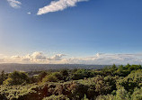 Kincorth Hill Local Nature Reserve