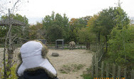 Toronto Zoo