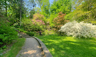 Toronto Botanical Garden