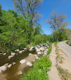 Toronto Botanical Garden