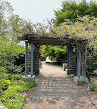 Toronto Botanical Garden