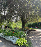 Toronto Botanical Garden