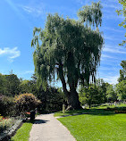 Toronto Botanical Garden