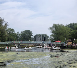 Centreville Amusement Park