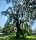 Centreville Amusement Park