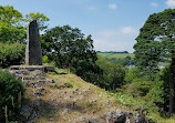 Antony Woodland Garden