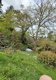 Antony Woodland Garden