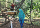 The Chattanooga Zoo at Warner Park