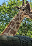 The Chattanooga Zoo at Warner Park