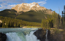 Athabasca Falls