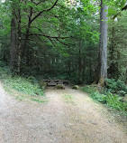 Mineral Park Campground