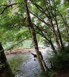 Cascade Wagon Road Campground