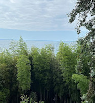 Batumi Botanical Garden