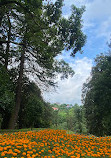 Batumi Botanical Garden