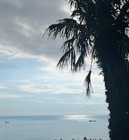 Batumi Botanical Garden