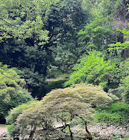 Batumi Botanical Garden