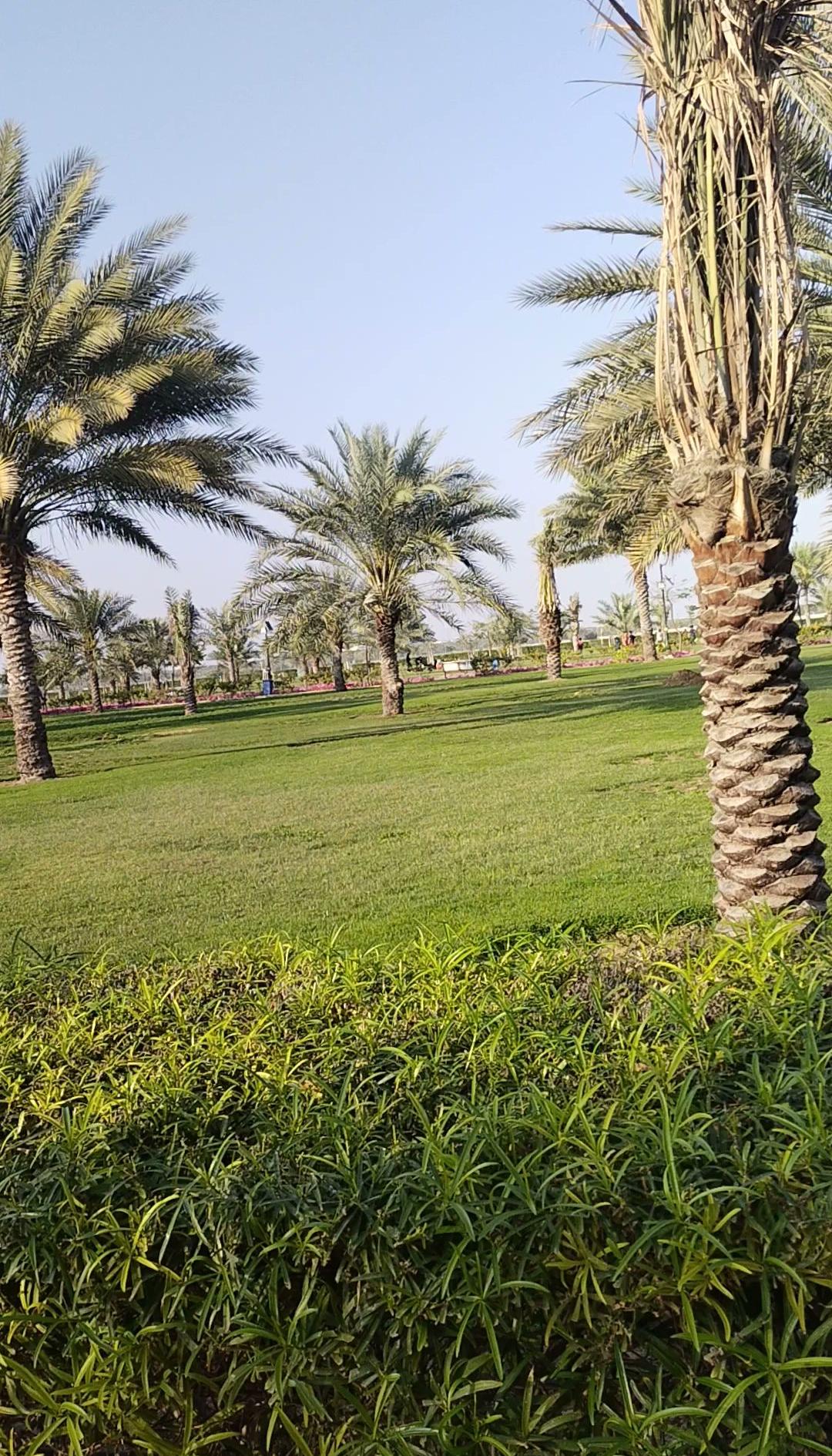 Al Safia Park