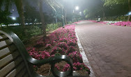 Al Safia Park