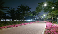 Al Safia Park