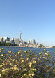 Trillium Park