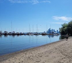 Lakeshore Boulevard Parklands