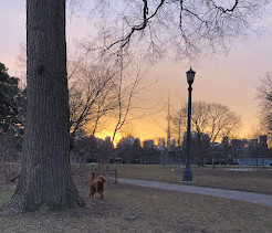 Trinity Bellwoods Park