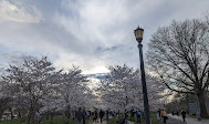 Trinity Bellwoods Park