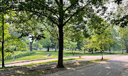 Trinity Bellwoods Park