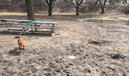 Trinity Bellwoods Park