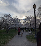 Trinity Bellwoods Park