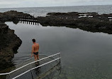 Natural swimming pool