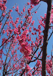 Honmoku Rinkai Park